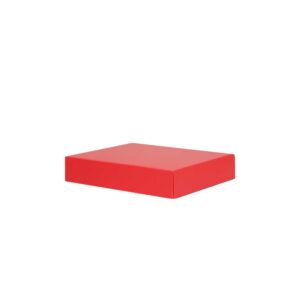 Luxe geschenkdoos - Rood (mat) - 25x20x5 cm